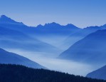 屋内空气干燥怎么办